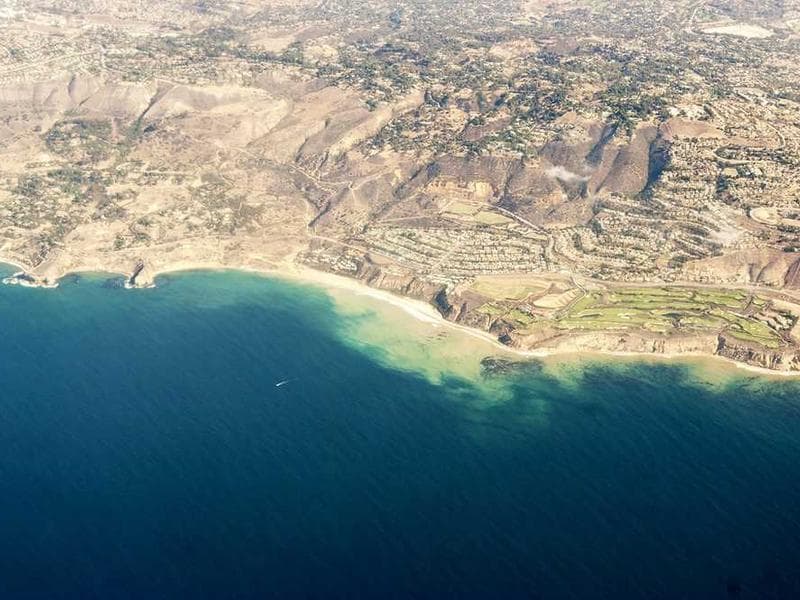 5 Marine Creatures You Will See at Netrani